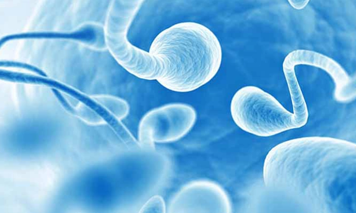 Male Infertility Andrology Services in Hyderabad